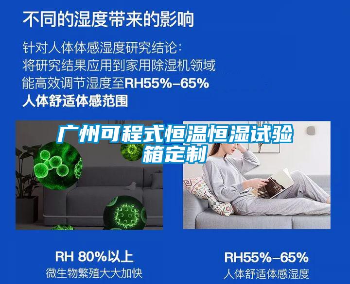 欧美黄色性爱视频网站 广州可程式恒温恒湿试验箱定制