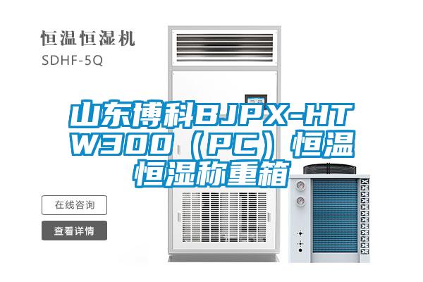 欧美黄色性爱视频网站 山东博科BJPX-HTW300（PC）恒温恒湿称重箱