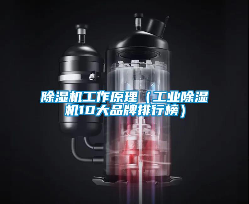 欧美黄色电影在线播放 除湿机工作原理（工业除湿机10大品牌排行榜）