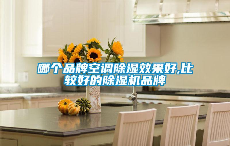 欧美成色手机在线观看 哪个品牌空调除湿效果好,比较好的除湿机品牌