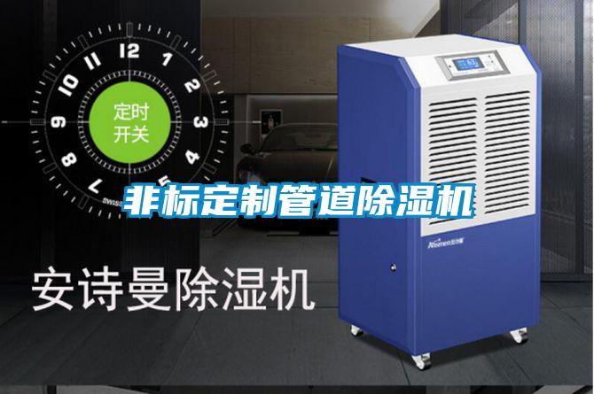 欧美黄色性爱视频网站 非标定制管道除湿机