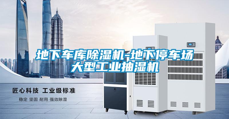 欧美黄色性爱视频网站 地下车库除湿机-地下停车场大型工业抽湿机