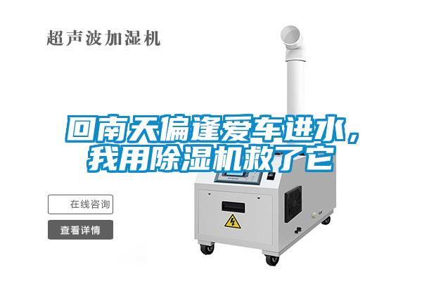 欧美黄色电影在线播放 回南天偏逢爱车进水，我用除湿机救了它