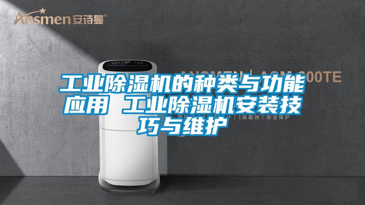 欧美黄色电影在线播放 工业除湿机的种类与功能应用 工业除湿机安装技巧与维护