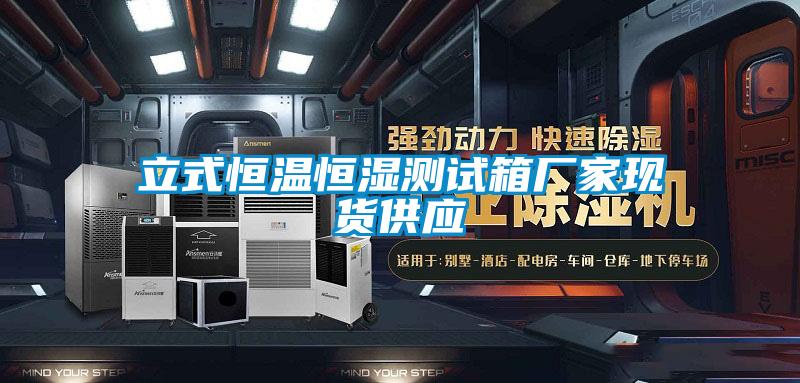 欧美黄色性爱视频网站 立式恒温恒湿测试箱厂家现货供应