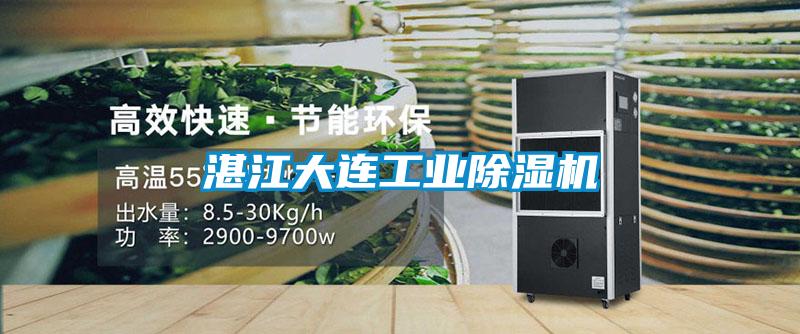 欧美黄色电影在线播放 湛江大连工业除湿机