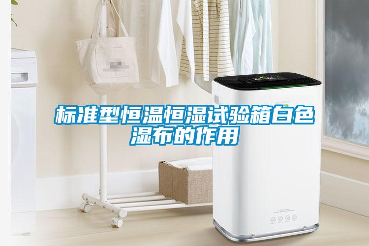欧美黄色电影在线播放 标准型恒温恒湿试验箱白色湿布的作用