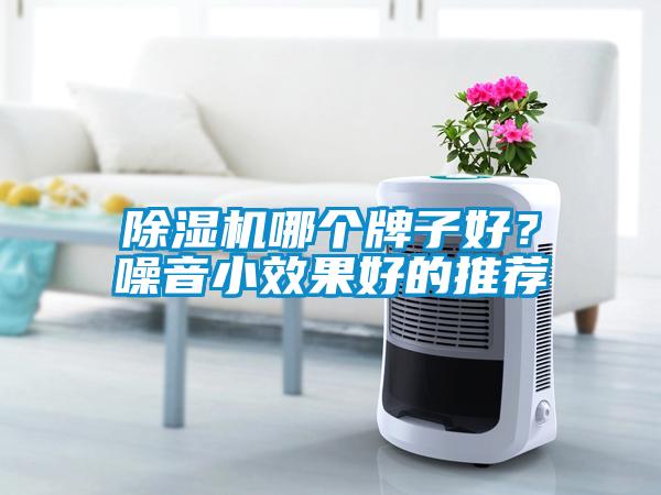 欧美黄色性爱视频网站 除湿机哪个牌子好？噪音小效果好的推荐