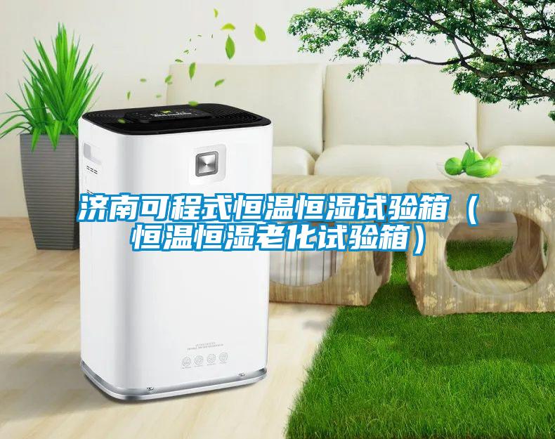 欧美黄色电影在线播放 济南可程式恒温恒湿试验箱（恒温恒湿老化试验箱）