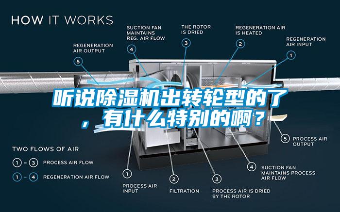 欧美黄色性爱视频网站 听说除湿机出转轮型的了，有什么特别的啊？