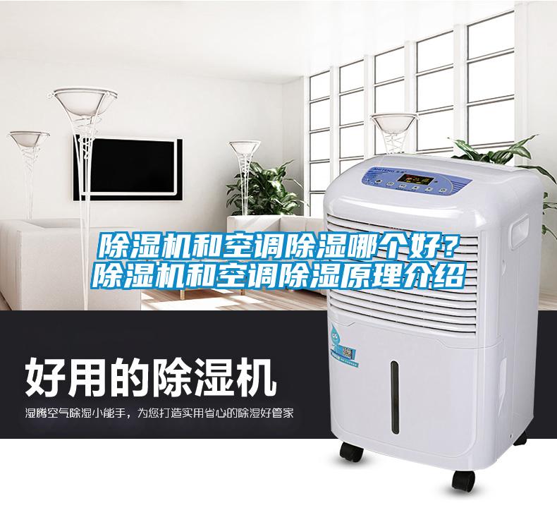 欧美成色手机在线观看 除湿机和空调除湿哪个好？除湿机和空调除湿原理介绍