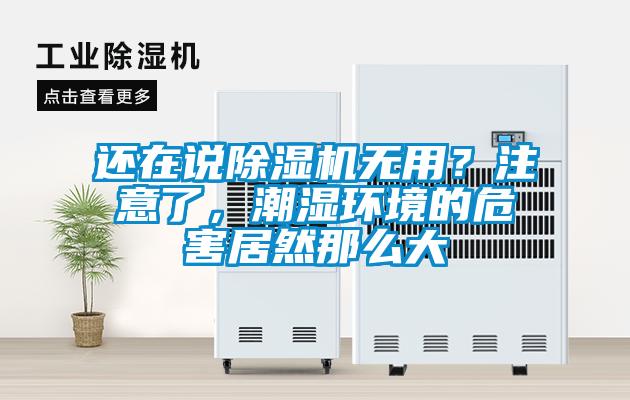 欧美黄色性爱视频网站 还在说除湿机无用？注意了，潮湿环境的危害居然那么大