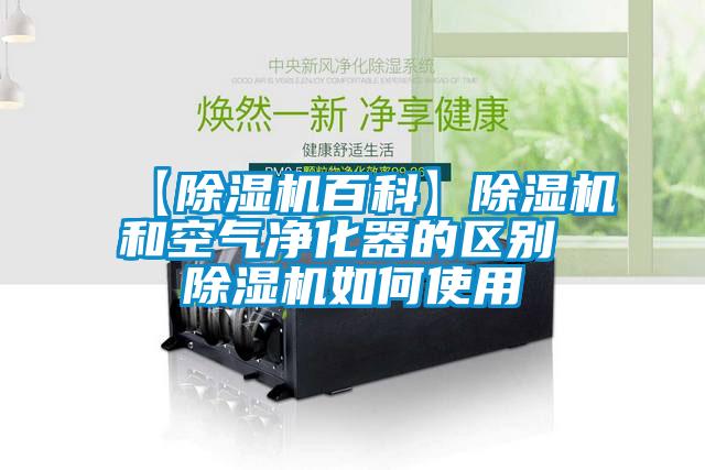欧美成色手机在线观看 【除湿机百科】除湿机和空气净化器的区别 除湿机如何使用