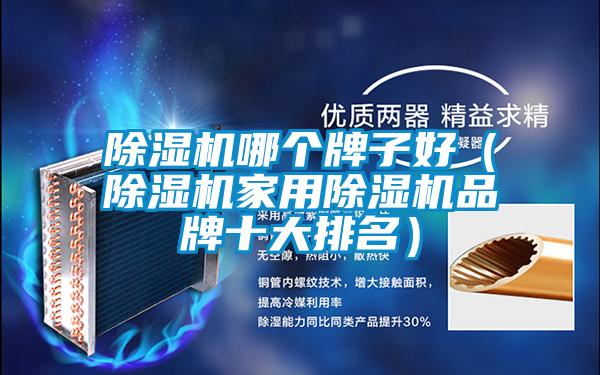 欧美黄色性爱视频网站 除湿机哪个牌子好（除湿机家用除湿机品牌十大排名）
