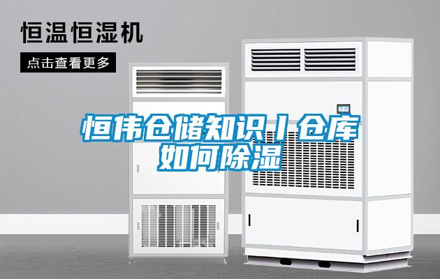 欧美黄色电影在线播放 恒伟仓储知识丨仓库如何除湿