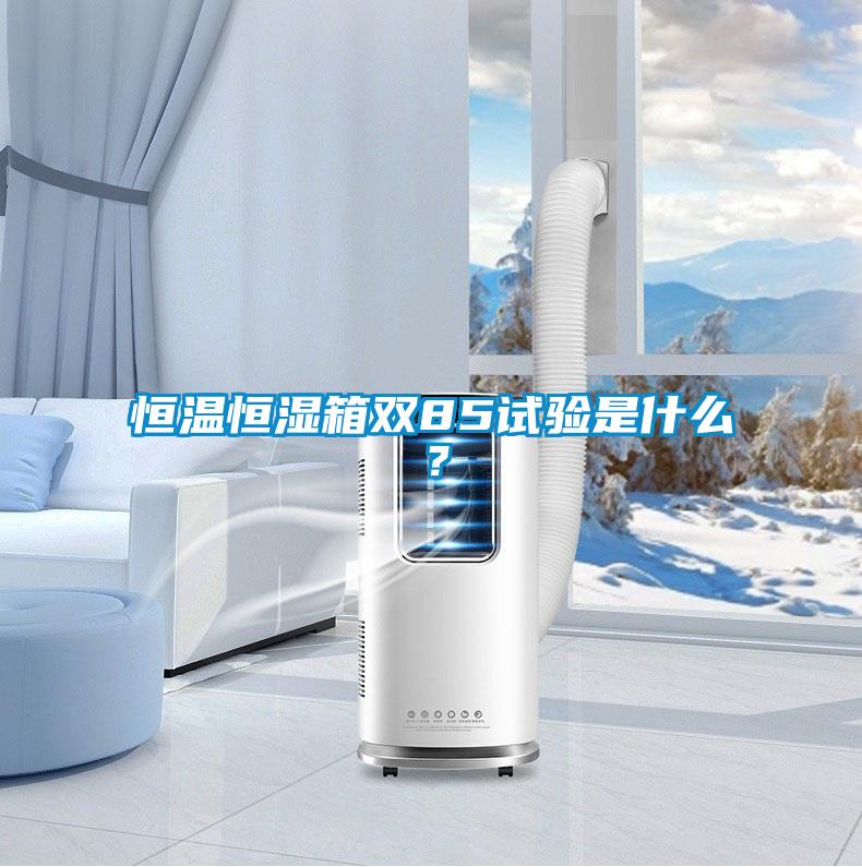欧美黄色电影在线播放 恒温恒湿箱双85试验是什么？
