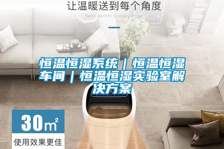 欧美黄色电影在线播放 恒温恒湿系统｜恒温恒湿车间｜恒温恒湿实验室解决方案