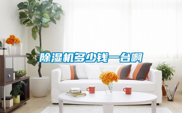 欧美成色手机在线观看 除湿机多少钱一台啊