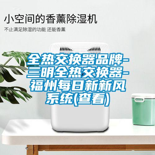 欧美黄色电影在线播放 全热交换器品牌-三明全热交换器-福州每日新新风系统(查看)