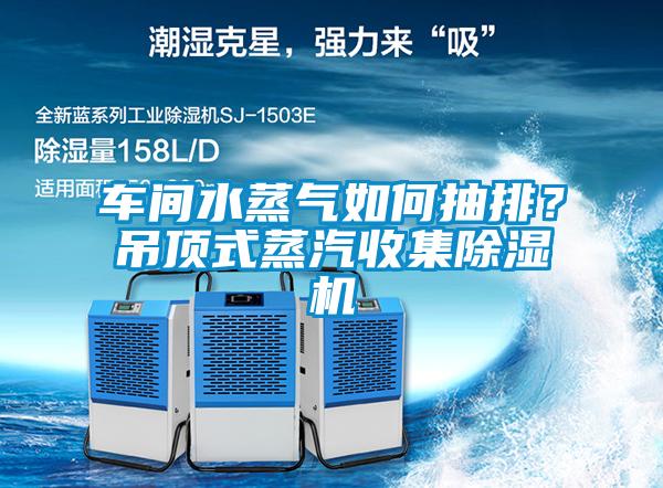 欧美黄色电影在线播放 车间水蒸气如何抽排？吊顶式蒸汽收集除湿机