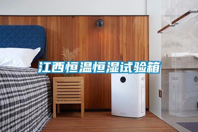 欧美黄色电影在线播放 江西恒温恒湿试验箱