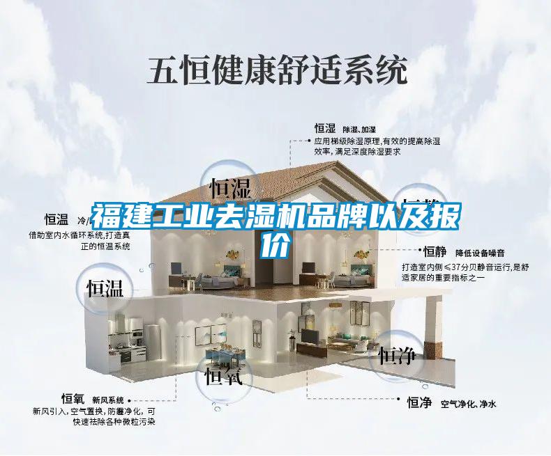 欧美黄色性爱视频网站 福建工业去湿机品牌以及报价