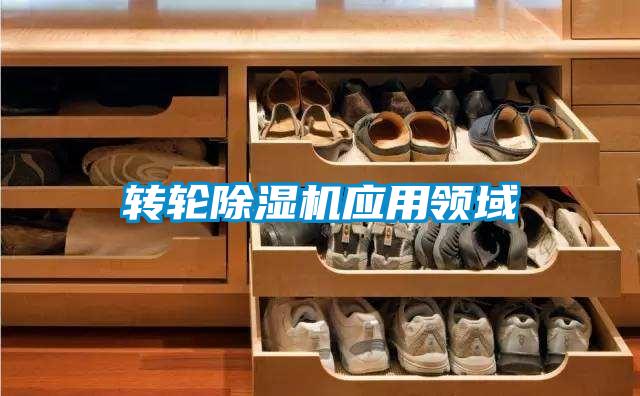 欧美黄色电影在线播放 转轮除湿机应用领域