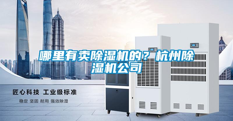 欧美黄色电影在线播放 哪里有卖除湿机的？杭州除湿机公司