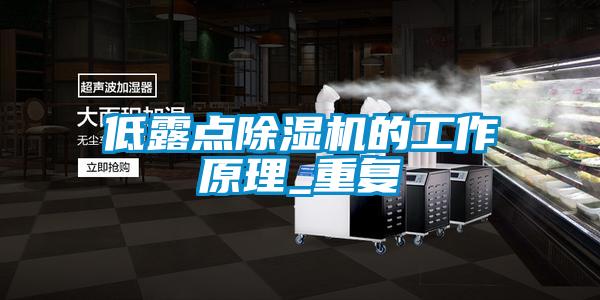 欧美黄色性爱视频网站 低露点除湿机的工作原理_重复