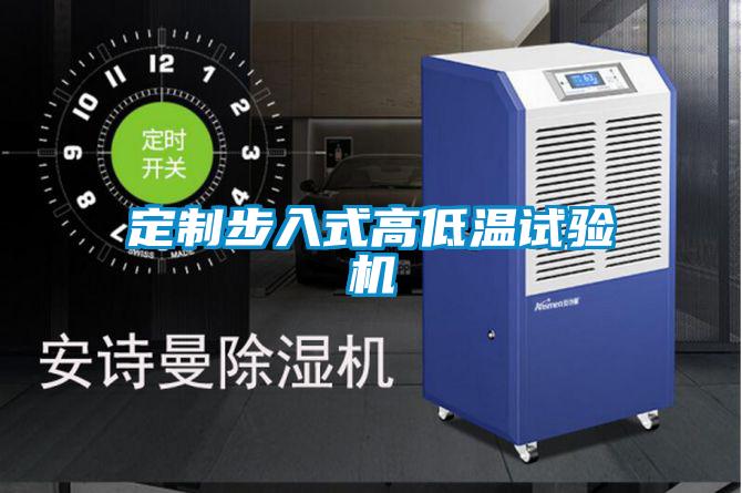 欧美黄色性爱视频网站 定制步入式高低温试验机