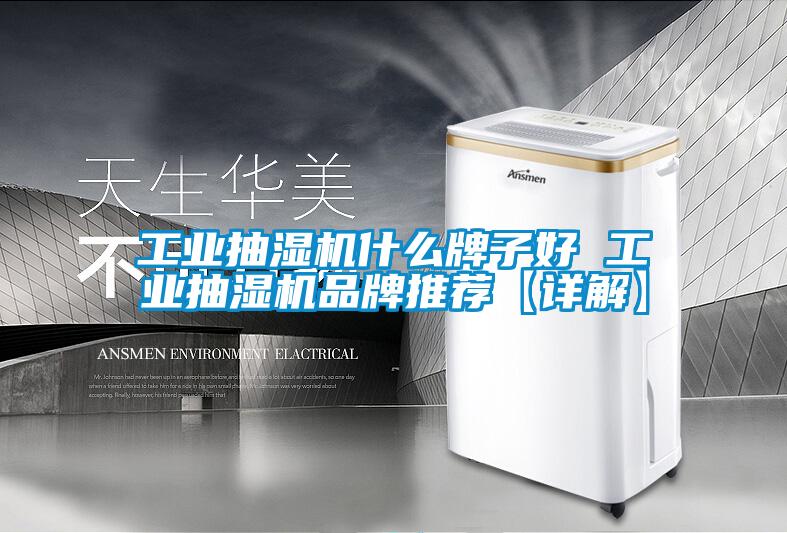 欧美黄色性爱视频网站 工业抽湿机什么牌子好 工业抽湿机品牌推荐【详解】