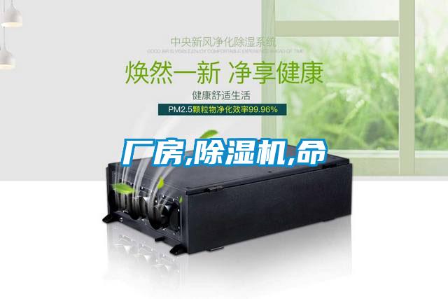 欧美黄色性爱视频网站 厂房,除湿机,命
