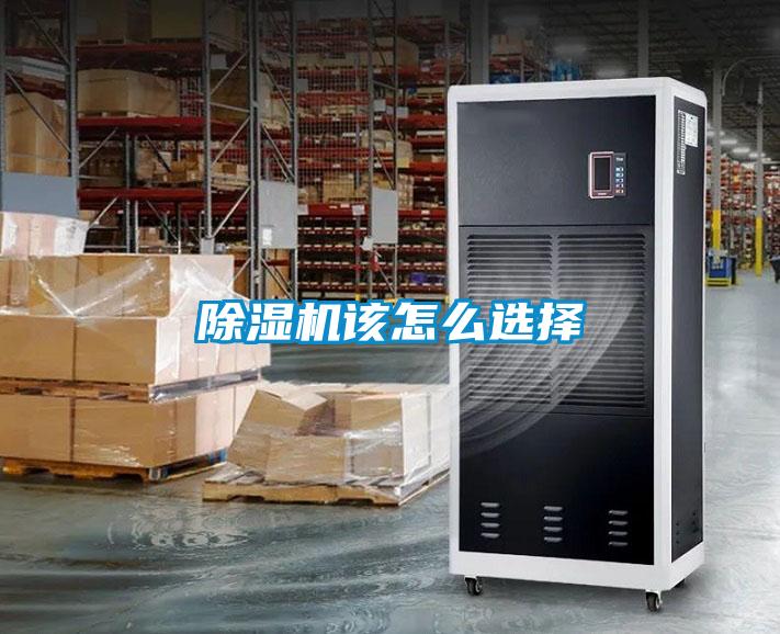 欧美黄色性爱视频网站 除湿机该怎么选择