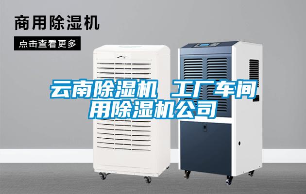欧美黄色电影在线播放 云南除湿机 工厂车间用除湿机公司