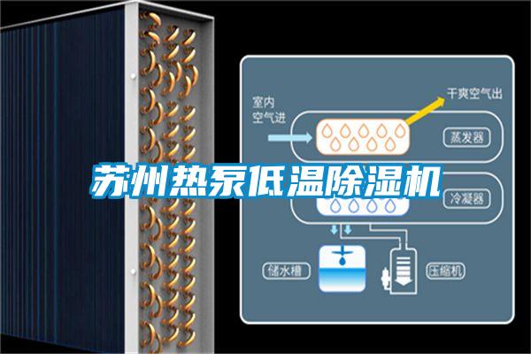 欧美黄色电影在线播放 苏州热泵低温除湿机