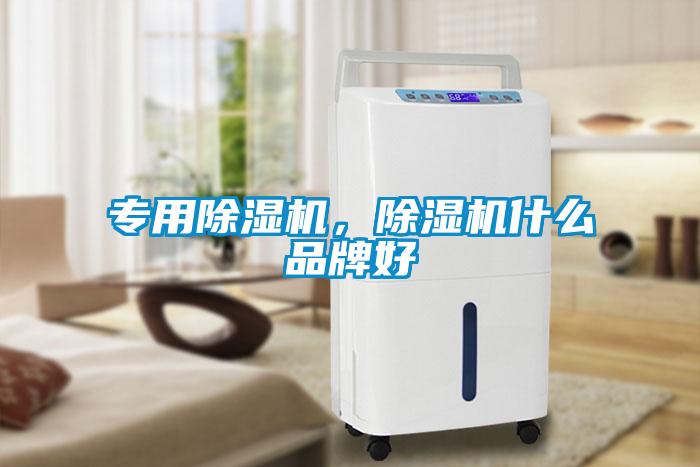 欧美黄色性爱视频网站 专用除湿机，除湿机什么品牌好