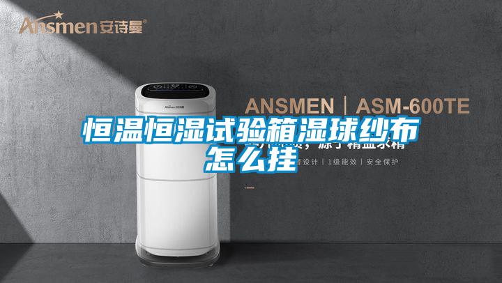 欧美成色手机在线观看 恒温恒湿试验箱湿球纱布怎么挂