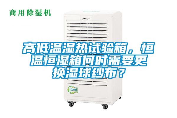 欧美黄色性爱视频网站 高低温湿热试验箱，恒温恒湿箱何时需要更换湿球纱布？
