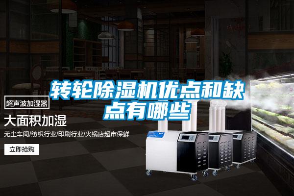 欧美黄色性爱视频网站 转轮除湿机优点和缺点有哪些