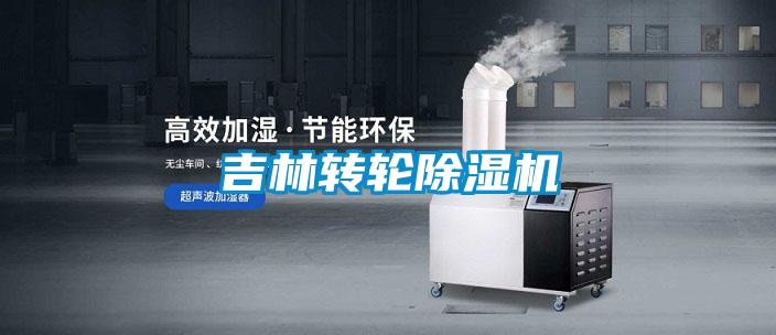 欧美黄色电影在线播放 吉林转轮除湿机