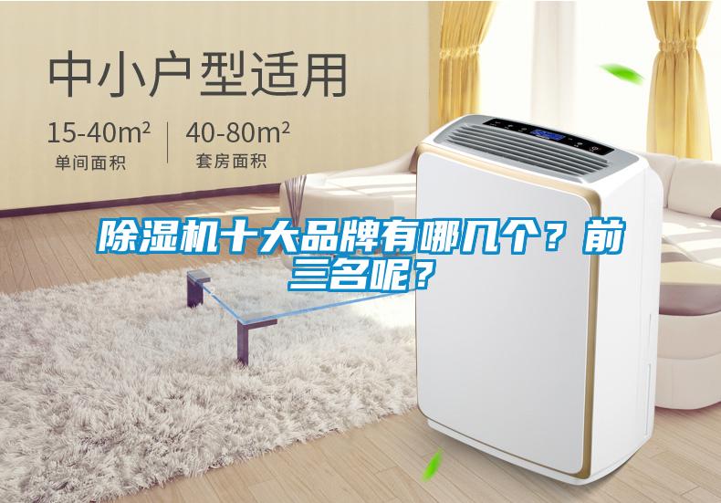 欧美成色手机在线观看 除湿机十大品牌有哪几个？前三名呢？