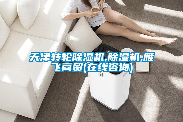 欧美黄色性爱视频网站 天津转轮除湿机,除湿机,雁飞商贸(在线咨询)