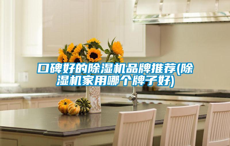 欧美成色手机在线观看 口碑好的除湿机品牌推荐(除湿机家用哪个牌子好)