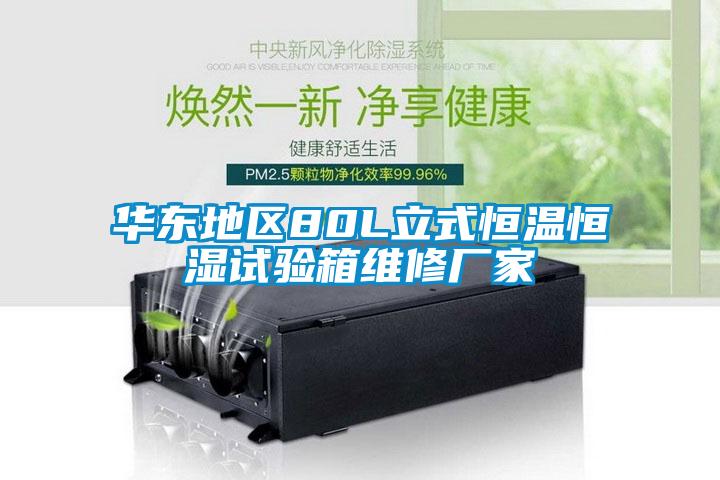 欧美黄色电影在线播放 华东地区80L立式恒温恒湿试验箱维修厂家