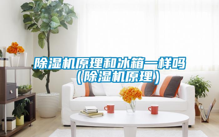欧美黄色性爱视频网站 除湿机原理和冰箱一样吗（除湿机原理）