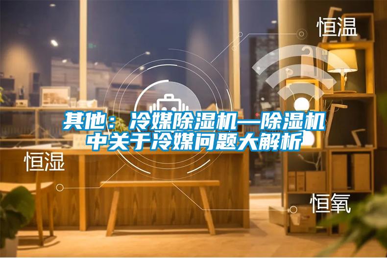 欧美黄色电影在线播放 其他：冷媒除湿机—除湿机中关于冷媒问题大解析