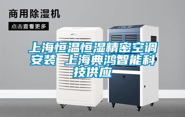 欧美黄色电影在线播放 上海恒温恒湿精密空调安装 上海典鸿智能科技供应
