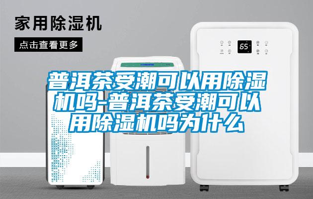 欧美黄色电影在线播放 普洱茶受潮可以用除湿机吗-普洱茶受潮可以用除湿机吗为什么