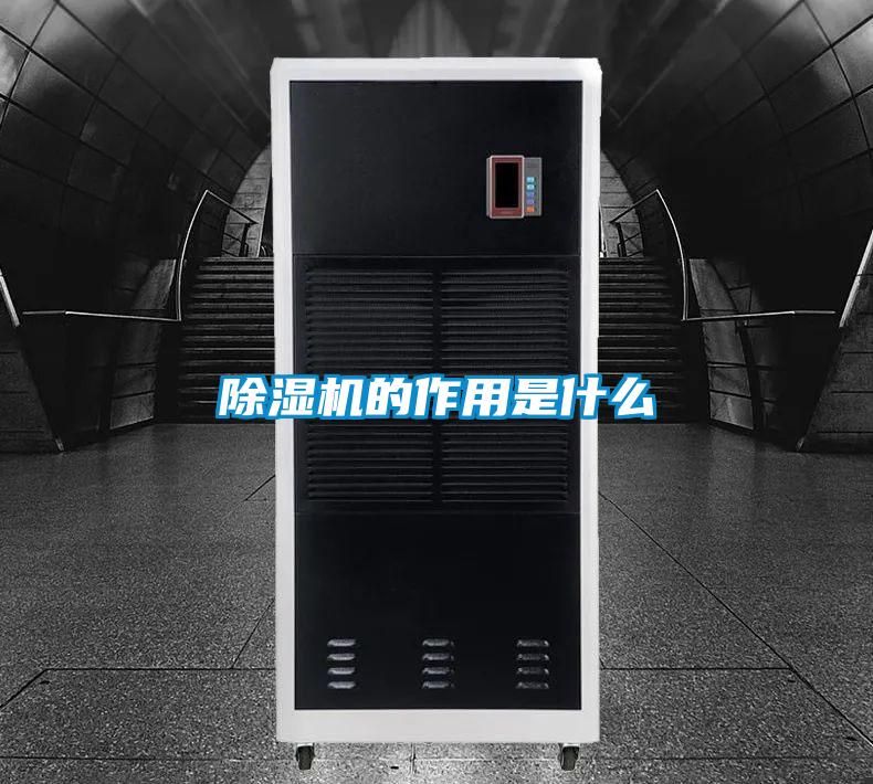 欧美黄色电影在线播放 除湿机的作用是什么