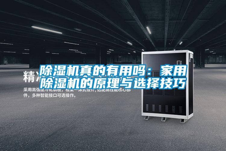 欧美成色手机在线观看 除湿机真的有用吗：家用除湿机的原理与选择技巧